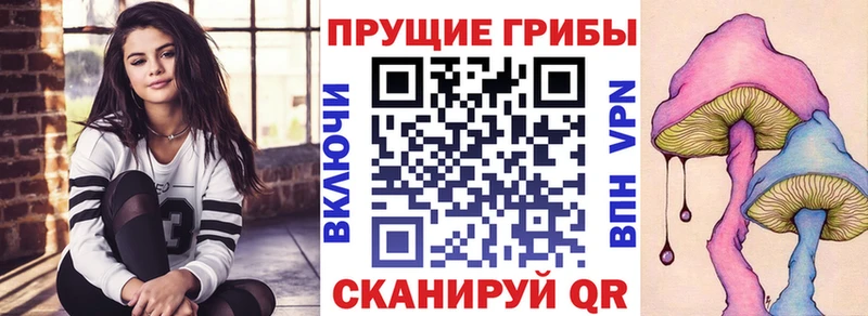 blacksprut Кущёвская Галлюциногенные грибы прущие грибы